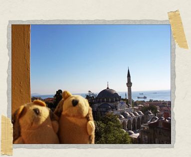 'Our little travel hedgehogs enjoying the view from our balcony in Istanbul, Turkey