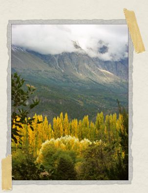 'The misty mountains of El Bolsón – our favorite place in the world