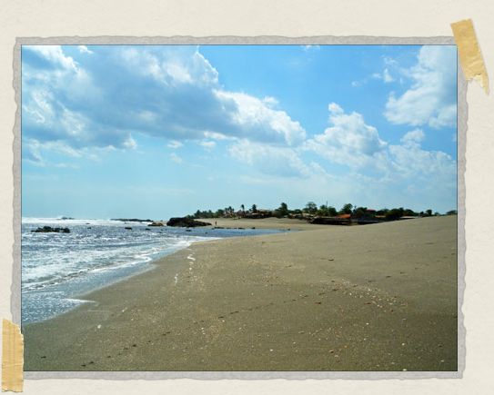 'We had miles and miles of beach and surf to ourselves in Las Penitas, not another person to be seen...