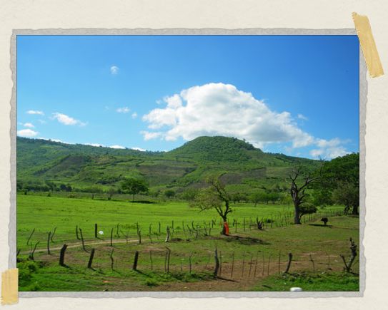 'The bus ride from Matagalpa to Managua rolled past fields of green and lush mountains in the distance