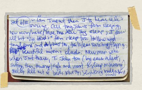 'Notebook entry for June 10, 2006
