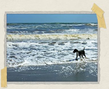 'Our guide for the day, Roscoe, living life to the fullest