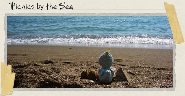 Picnics by the Sea