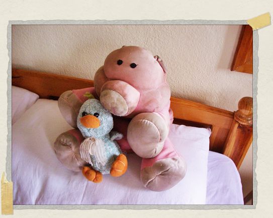 'Henry the Mascot Duck will be profiled in a future entry :)