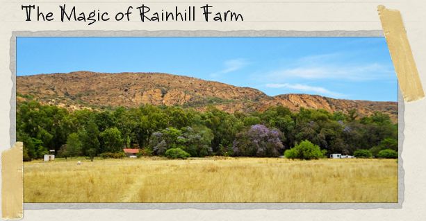 The Magic of Rainhill Farm