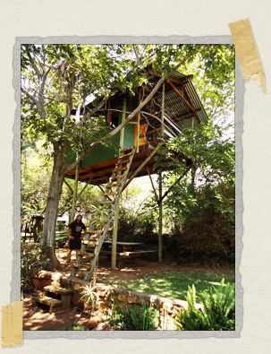 'The fairy-tale treehouse we got to sleep in for two nights