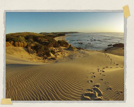 'Sunrise over the rainbow nation