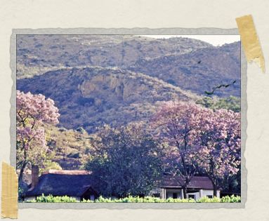 'A view of Rainhill Farm and the nearby Magaliesburg mountains, as taken by Tim's father, Alastair McGregor