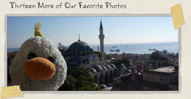 Thirteen More of Our Favorite Photos