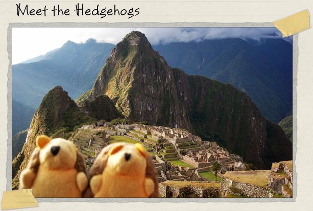 Meet the Hedgehogs