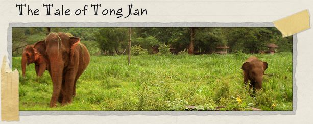 The Tale of Tong Jan