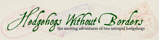 Hedgehogs Without Borders