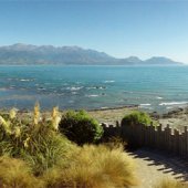 An Epic Year of Travel