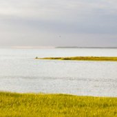 Eight Photos from Cape Cod