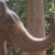 A Day on Elephant Island