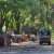 How to Get to the Ellora Caves