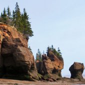 Eleven Photos from the Bay of Fundy