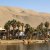 Desert Oasis