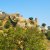 The Walls of Kumbhalgarh
