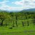 Thirteen Favorite Photos of Nicaragua