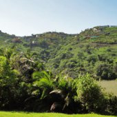 Off the Beaten Path on the Wild Coast, Part 1