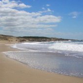 Punta del Diablo: Five Anecdotes