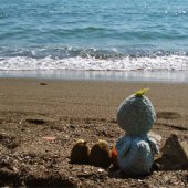 Picnics by the Sea