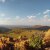 Eleven Photos From South Africa