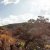 The Reason We've Never Been to South Africa Before
