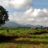 Jumbo 1: The Scenic Route