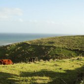 Favorite Photos of the Transkei Big Five