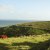 Favorite Photos of the Transkei Big Five