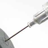 Vaccinations and the Question of Rabies
