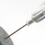 Vaccinations and the Question of Rabies